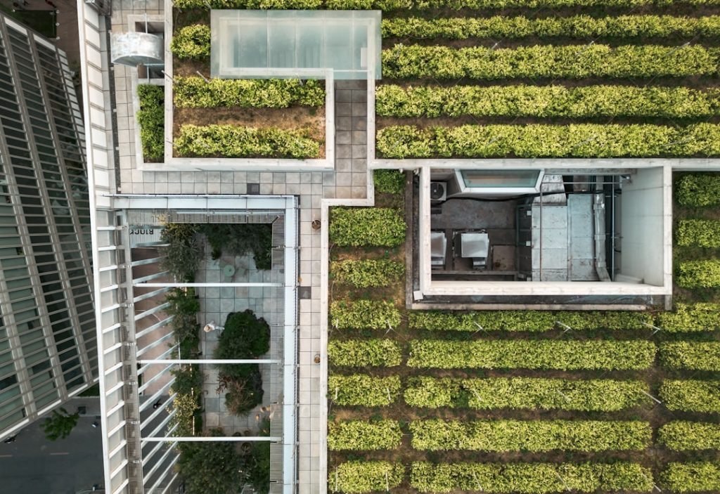 Photo Green roofs technology