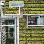 Photo Green roofs technology
