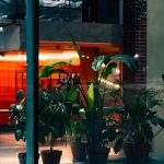 Photo biophilic design