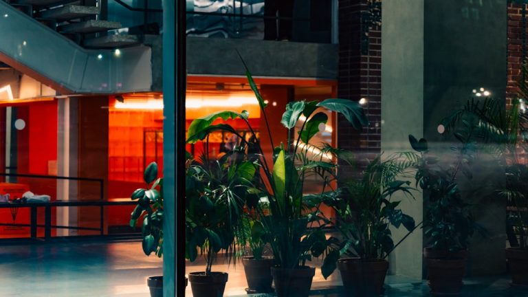 Photo biophilic design