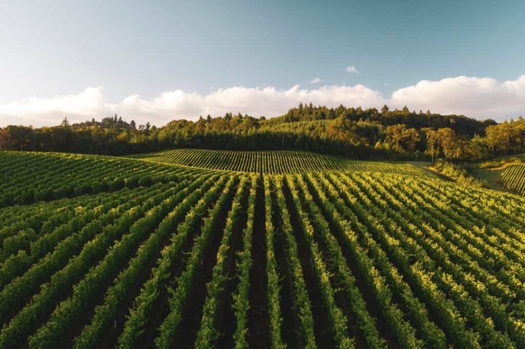 Photo farmland investment