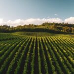 Photo farmland investment